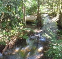 Treetops Accommodation Montville - Accommodation Cooktown