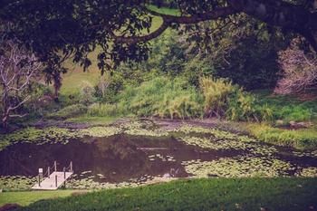 Allara Homestead - Accommodation Cooktown 5