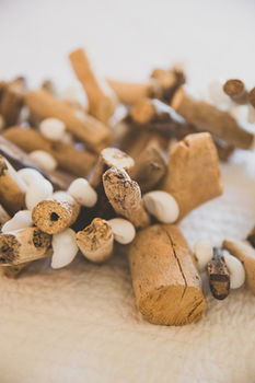 Allara Homestead - Accommodation Cooktown 23