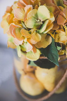 Allara Homestead - Accommodation Cooktown 30