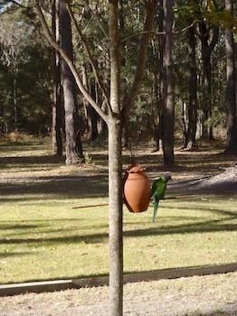 Woollamia Village Retreat - Accommodation Cooktown 2