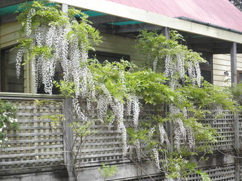 Woollamia Village Retreat - Accommodation Cooktown 37