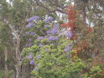 Woollamia Village Retreat - Accommodation Cooktown 40