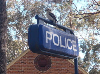 Woollamia Village Retreat - Accommodation Cooktown 41