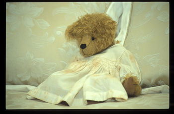 Woollamia Village Retreat - Accommodation Cooktown 49