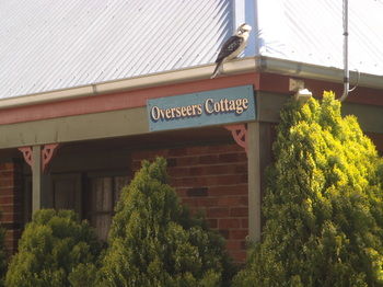 Woollamia Village Retreat - Accommodation Cooktown 58