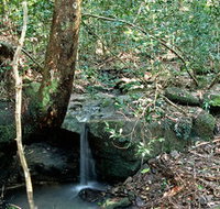 Montville Oceanview Cottages - Accommodation Cooktown