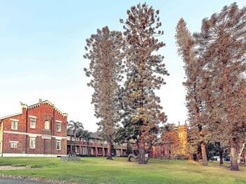 Mercure Maitland Monte Pio - Accommodation Cooktown 52