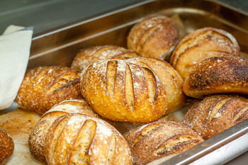 Altitude On Montville - Accommodation Cooktown 10