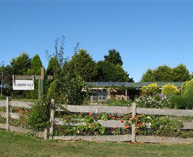 Blueberry B & B - Accommodation Cooktown 1