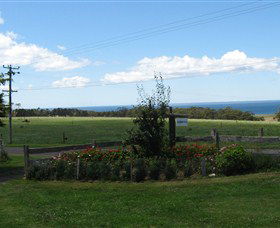 Blueberry B & B - Accommodation Cooktown 0