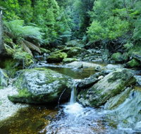 Tarkine Wilderness Experience at Corinna - Accommodation Cooktown