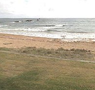 Penguin Caravan Park - Accommodation Cooktown