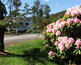 Zeehan Bush Camp  And Caravan Park - Accommodation Cooktown 0