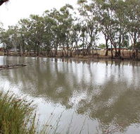 Riverbank Caravan Park - Accommodation Cooktown