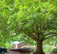 Lakes and Craters Holiday Park