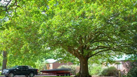 Lakes And Craters Holiday Park - Accommodation Cooktown 0