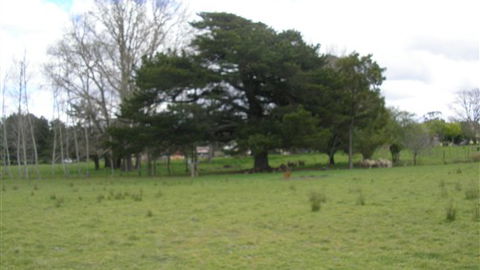 Auberge Woodend - Accommodation Cooktown 3