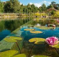 Planetrees Estate  - Accommodation Cooktown