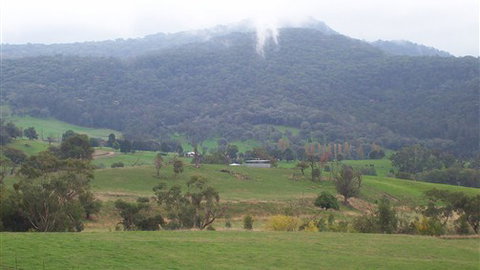 Murphy's Cabin - Accommodation Cooktown 1