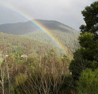 Wattletree Cottage - Accommodation Cooktown
