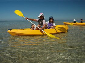 Ceduna Shelly Beach Caravan Park And Beachfront Villas - Accommodation Cooktown 3