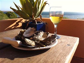 Ceduna Shelly Beach Caravan Park And Beachfront Villas - Accommodation Cooktown 4