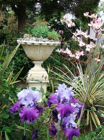 Admurraya House - Accommodation Cooktown 2