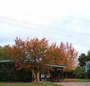 Allambie Motel Pty Ltd - Accommodation Cooktown
