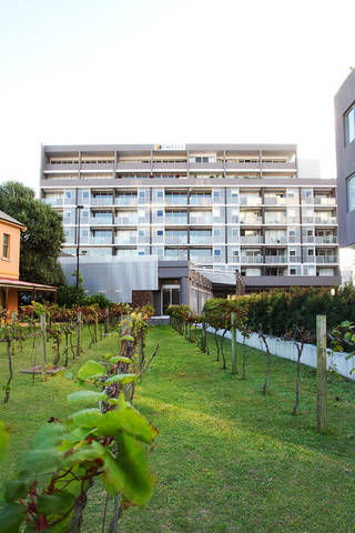 B7 Honeysuckle Apartments - Accommodation Cooktown 1
