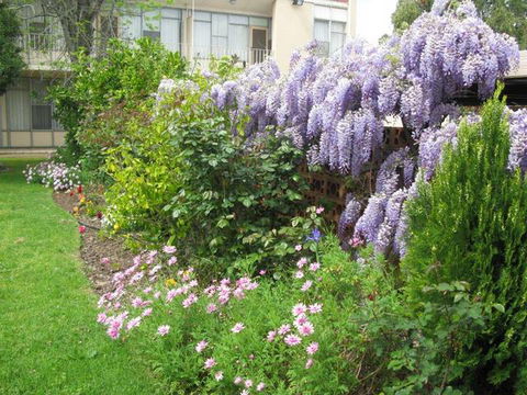 Capri Lodge Apartments - Accommodation Cooktown 2