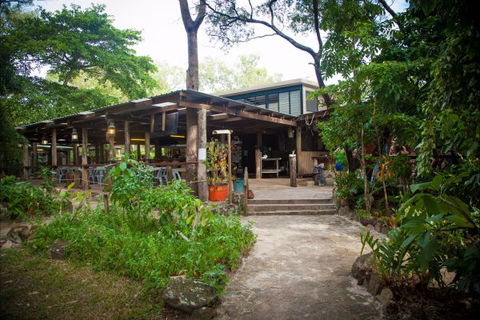 Cape York Camping Punsand Bay - Accommodation Cooktown 9