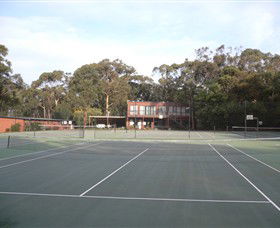 Koala Park - Accommodation Cooktown 1