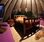 Aranyani Bison Adventure Tourist Park - Accommodation Cooktown