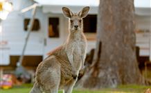 BIG4 Sunshine South West Rocks Holiday Park - South - Accommodation Cooktown 3