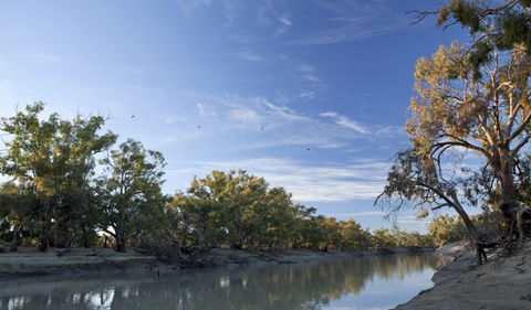 Darling River Campground - Accommodation Cooktown 0