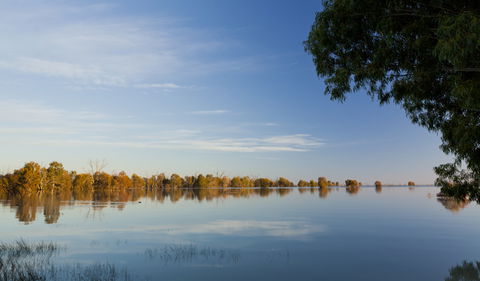 Darling River Campground - Accommodation Cooktown 2
