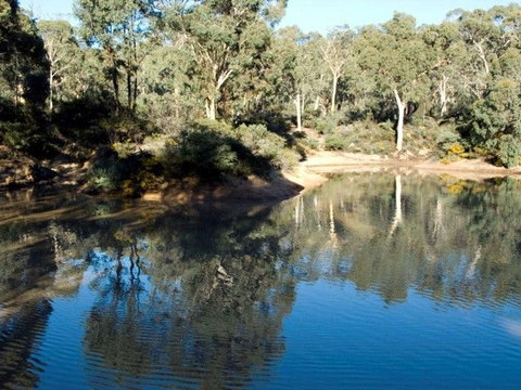 Toodyay Holiday Park & Chalets - Accommodation Cooktown 4