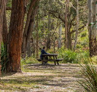 Koreelah Creek campground - Accommodation Cooktown