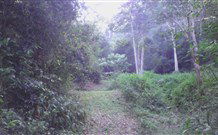 Macas Camping Ground - Accommodation Cooktown 0