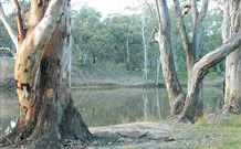Mclean Beach Holiday Park - Accommodation Cooktown 5