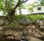 Mt Warning Rainforest Park - Accommodation Cooktown