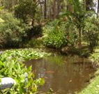 Tallowood Ridge B and B - Accommodation Cooktown