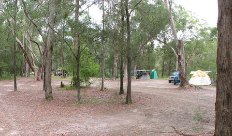 Wallingat River Campground - Accommodation Cooktown 0