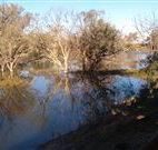 Warrawong on the Darling - Accommodation Cooktown