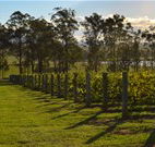 H Boutique Hotel - Pokolbin - Accommodation Cooktown