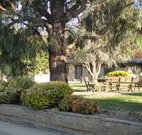 Hamilton Hume Motor Inn - Yass - Accommodation Cooktown