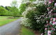 Laurel Hill Forest Lodge - Tumbarumba - thumb 1