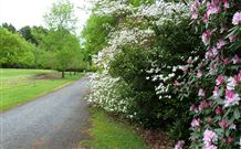 Laurel Hill Forest Lodge - Tumbarumba - Accommodation Cooktown 1