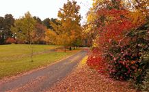 Laurel Hill Forest Lodge - Tumbarumba - Accommodation Cooktown 3